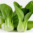 BABY PAK CHOI Bok Choy Chinese Cabbage 1250 Seeds USA Seller!! BABY PAK CHOI Bok Choy Chinese Cabbage 1250 Seeds USA Seller!!
