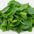 Green Malabar Spinach 50 seeds MongToi Mu er cai Ceylon spinach Vine Spinach USA
