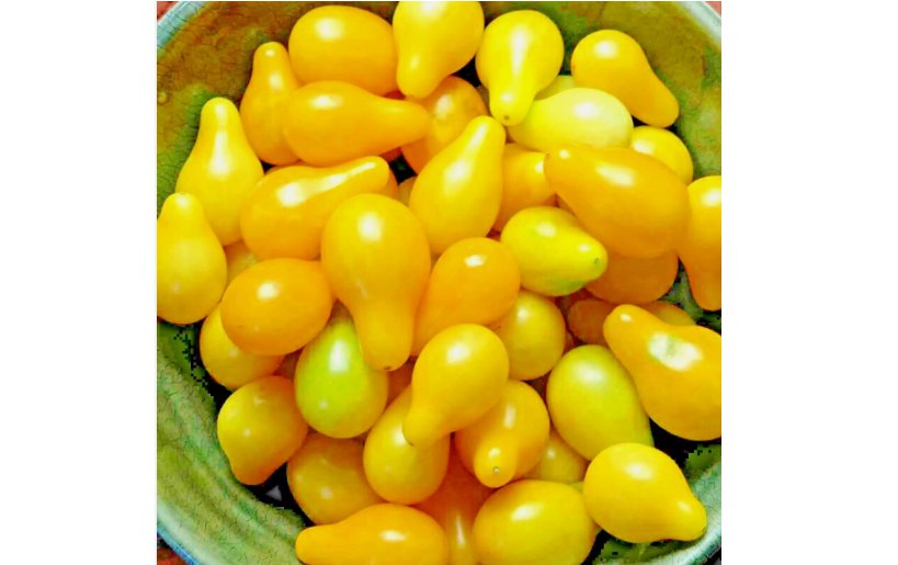 30 SEEDS TOMATO YELLOW PEAR CHERRY RARE HEIRLOOM VEGETABLE GARDEN NON-GMO