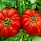 GIANT OXHEART TOMATO HUGE TASTY AMERICAN HEIRLOOM NON-GMO JUICY 75 SEEDS