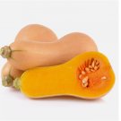 Butternut Squash -10 Seeds - Organic - Non Gmo