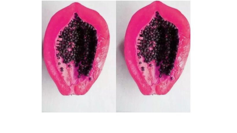 HIGH GERMINATION Purple Papaya Ceylon RARE pawpaw Non Gmo 100 SEEDS