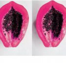 HIGH GERMINATION Purple Papaya Ceylon RARE pawpaw Non Gmo 100 SEEDS