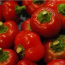 50 SEEDS RED CHERRY PEPPER SEEDS HOT PEPPER vegetable GARDEN non gmo