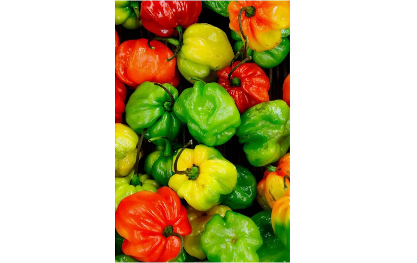 20 SEEDS Scotch Bonnet Pepper Seeds