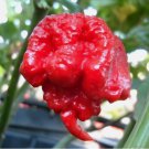 Carolina Reaper Chili Pepper Seeds 100 SEEDS