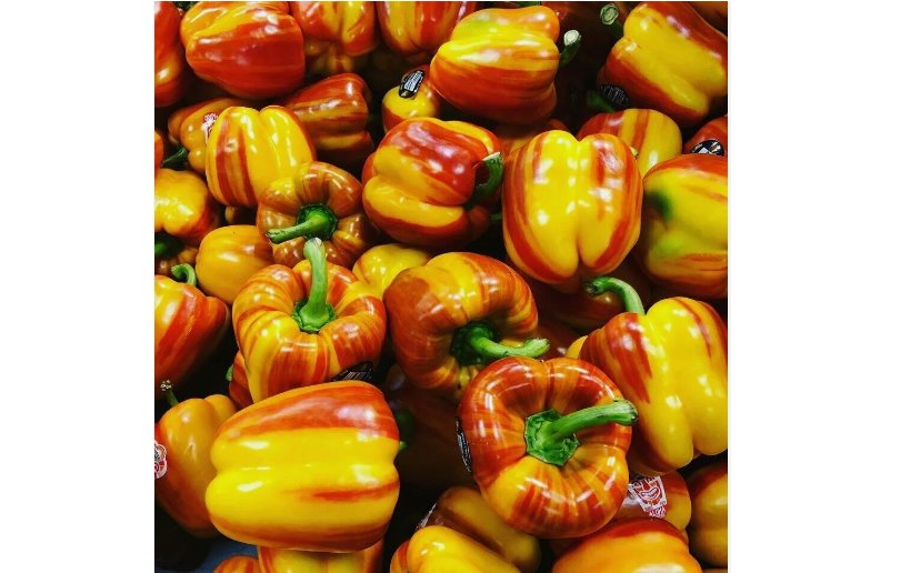 Aloha Rainbow Sunset Bell Pepper Seeds , Organic NON - GMO 10 SEEDS