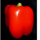 GIANT DEEP RED SWEET BELL PEPPER SEEDS 50+