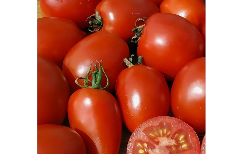 20+ SEEDS AMISH PASTE TOMATO Indeterminate GARDEN vegetables SAUCE