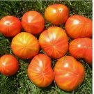 25 SEEDS Mr. Stripey Tomato Ct Vegetable Heirloom NON-GMO