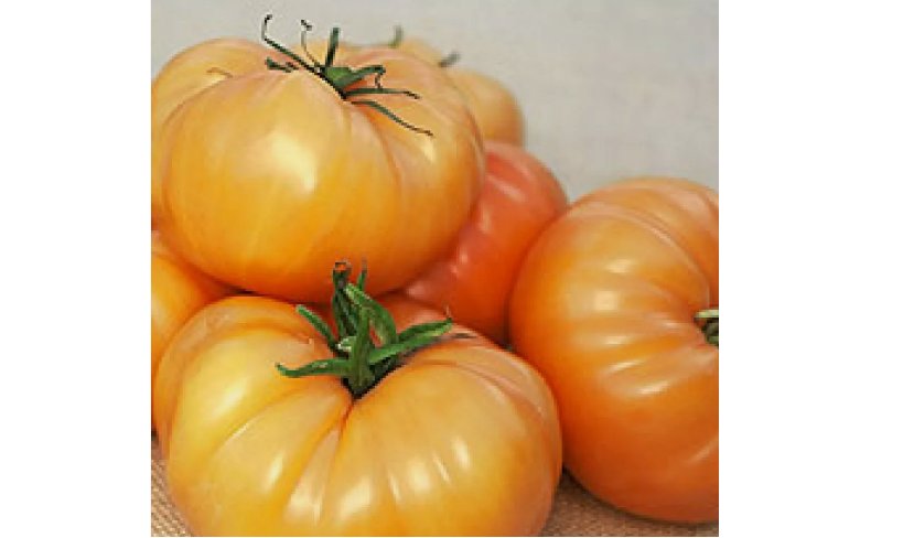 KELLOGG'S BREAKFAST TOMATO 50 SEEDS NON - GMO