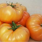 KELLOGG'S BREAKFAST TOMATO 50 SEEDS NON - GMO