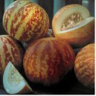 10 SEEDS Tigger Melon Seeds | Heirloom - Non-GMO