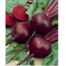 DETROIT RED BEET 750+ SEEDS. FRESH FOR GARDENS