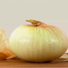 Treated Vidalia Sweet Onion Seeds Non-GMO, 250 SEEDS