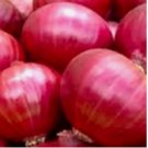 250 SEEDS Red Creole Onion Seeds | NON-GMO