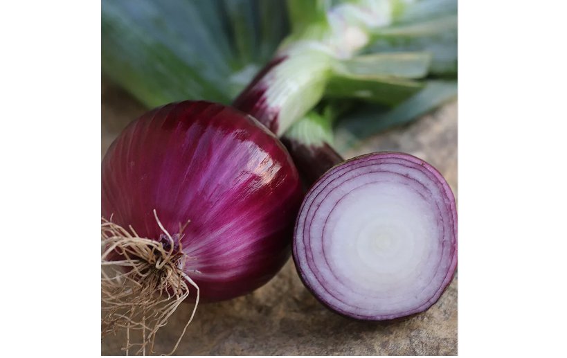 250 SEEDS Ruby Red Onion Seeds, NON-GMO