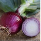 250 SEEDS Ruby Red Onion Seeds, NON-GMO