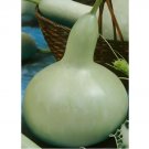 Martin House gourd seeds| Available Bushel, Speckled Swan, Bird House 10 SEEDS