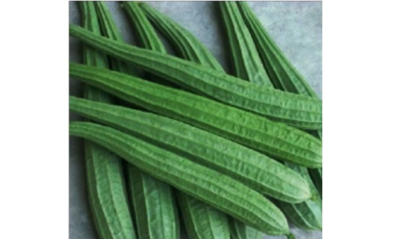 10 SEEDS Ridged gourd