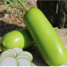 Calabash Bottle Gourd Seeds 15pcs