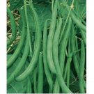 Fresh Blue Lake Pole Bean Heirloom Seeds 100pcs