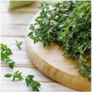 300 SEEDS Thyme Seeds | Heirloom - Non-GMO