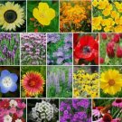 1000 SEEDS Wildflower Mix THE BEES KNEES Heirloom 18 Species Pollinators Non-GMO