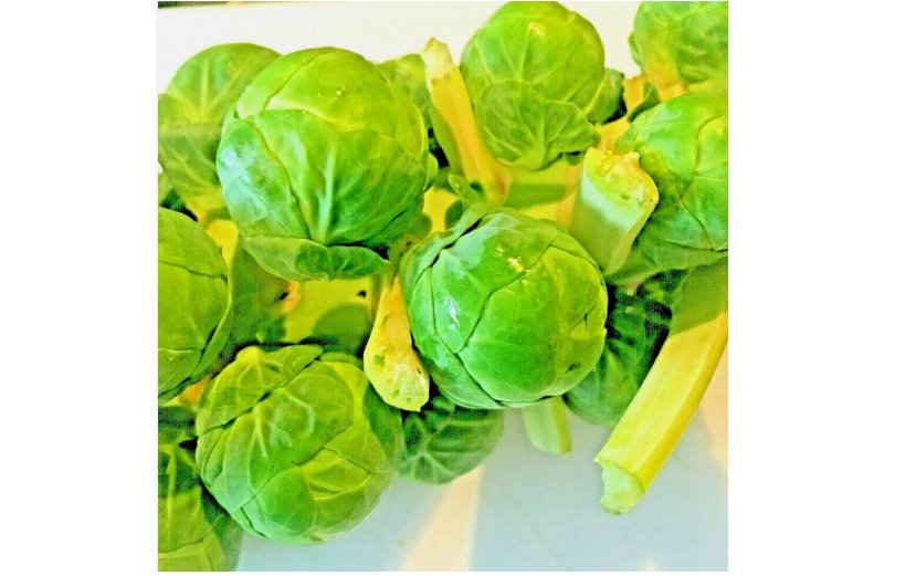 100 SEEDS BRUSSELS SPROUTS SPRING GARDEN HEIRLOOM VEGETABLE NON-GMO