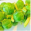100 SEEDS BRUSSELS SPROUTS SPRING GARDEN HEIRLOOM VEGETABLE NON-GMO