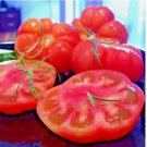 MARMANDE GIANT BEEFSTEAK RARE FRENCH TOMATO HUGE HEIRLOOM NON-GMO 75 SEEDS