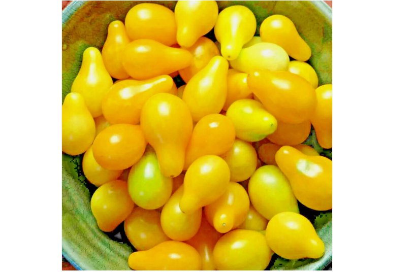 30 SEEDS TOMATO YELLOW PEAR CHERRY RARE HEIRLOOM VEGETABLE GARDEN NON-GMO