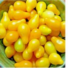 30 SEEDS TOMATO YELLOW PEAR CHERRY RARE HEIRLOOM VEGETABLE GARDEN NON-GMO