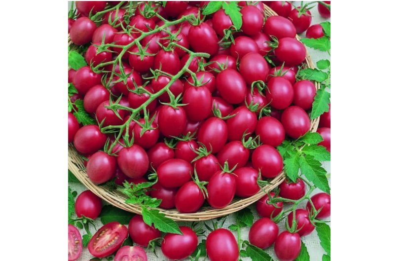 Tomato Cherry Pink Grape Seeds - Heirloom, Non-GMO  200pcs