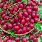 Tomato Cherry Pink Grape Seeds - Heirloom, Non-GMO  200pcs