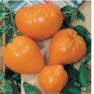 50 SEEDS Orange Oxheart Tomato Seeds Vegetable HEIRLOOM NON-GMO 50 SEEDS Orange Oxheart Tomato Seeds Vegetable HEIRLOOM NON-GMO