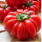 250 SEEDS Costoluto Genovese Tomato Seeds, Italian Ribbed, NON-GMO