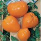 Orange Oxheart Tomato Seeds Vegetable HEIRLOOM NON-GMO 50 pcs