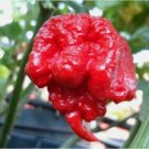 Carolina Reaper Chili Pepper Seeds World Record Hot Peppers Vegetables Seed 100 PCS
