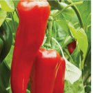 100 SEEDS Big Jim Hot Pepper Seeds | NON-GMO | Heirloom