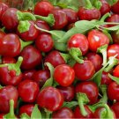 100 SEEDS Red Cherry Hot Pepper Seeds, Cherry Bombs, Pimenta, NON-GMO