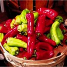 SWEET CUBAN 50 SEEDS  PEPPER RARE SPRING VEGETABLE GARDEN HEIRLOOM NON-GMO