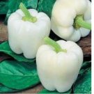 WHITE BELL PEPPER 30 SEEDS - HEIRLOOM - ORGANIC - NON GMO