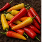 150 SEEDS Hungarian Hot Wax Pepper Seeds, Heirloom, Non-GMO
