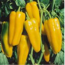 50 SEEDS Golden Marconi Sweet Pepper Seeds Vegetable Garden NON-GMO