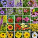 1000 SEEDS PERENNIAL POLLINATOR MIX 20 Varieties Summer - Fall Flowers Non-GMO