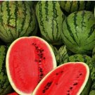 5 SEEDS Jubilee Improved Watermelon Seeds | Heirloom / Non-GMO