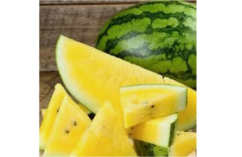 Watermelon Yellow Rare Vegetable Planting Organic Heirloom Garden 25 SEEDS