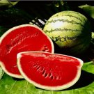 Crimson SWEET Watermelon Seeds | Non-GMO 25 SEEDS