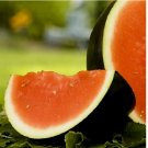 10 SEEDS Sugar Baby Watermelon Seeds | NON-GMO Watermelon Seeds